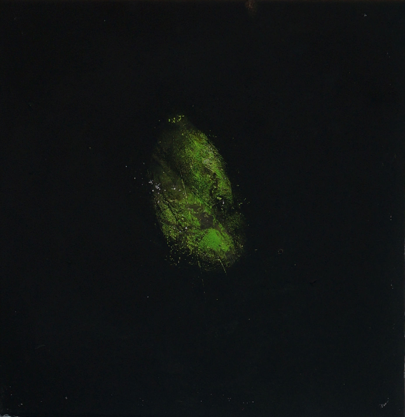 Malerei Volker Schwennen